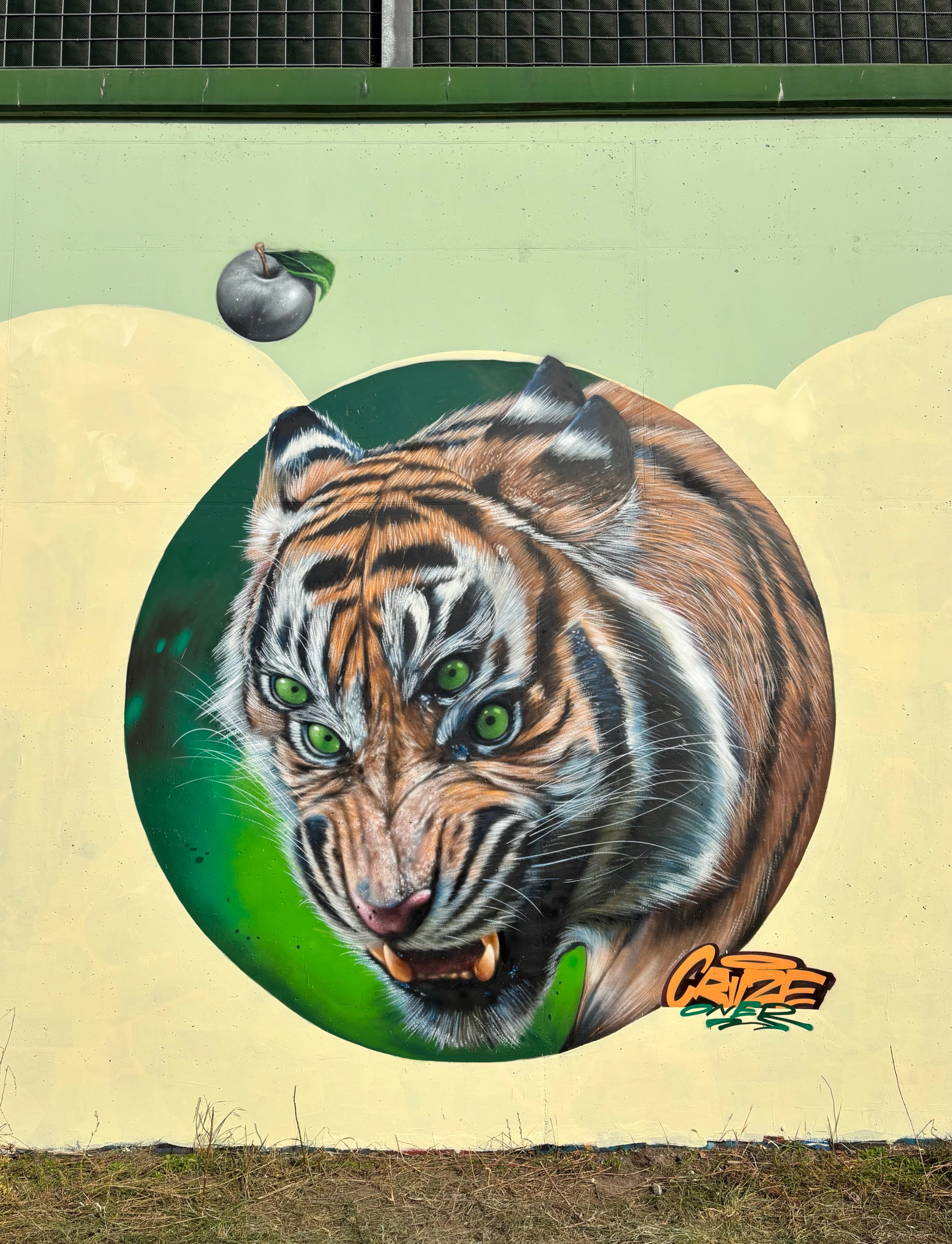 Eyes of the Tiger 🙃 @loopcolors @galeriakoloru #graffiti...