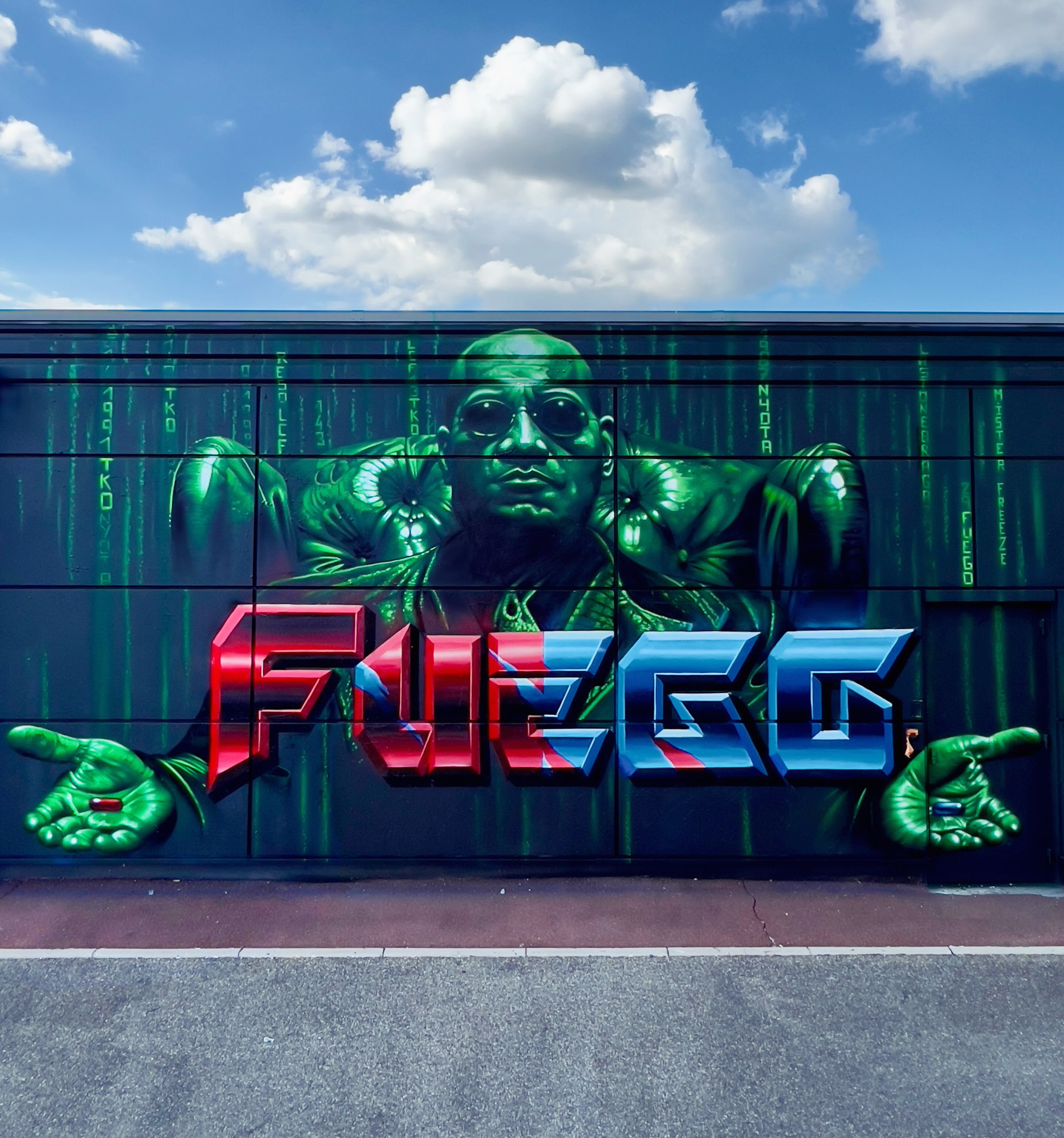 " Libère ton esprit Fuego … " Peinture...